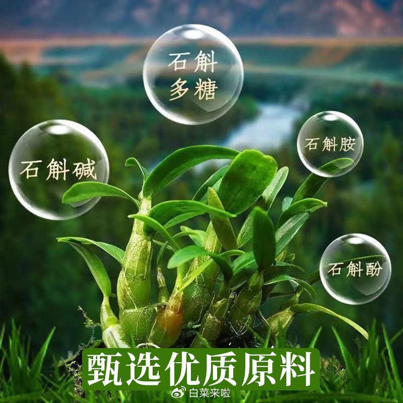 石斛原漿價格表，一段友情與陪伴的溫馨故事之旅